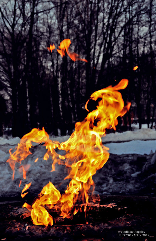 магия пламени, или огненные змеи - Vladislav Rogalev