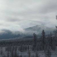 Зима в горах :: Ольга Иргит
