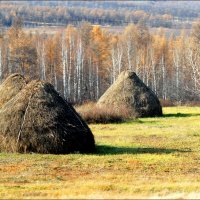 К зиме готовы... :: Сергей Данила