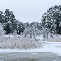 Беберлини зимой (5) :: Сергей Садовничий