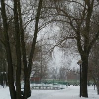 зима в парке. :: НАДЕЖДА КЛАДЧИХИНА