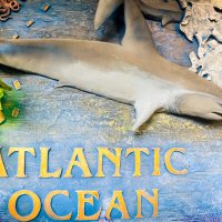Atlantic ocean :: ВАСИЛИСА АЛЕКСЕЕВНА