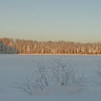 Утро на Госколодском озере :: Юрий Цыплятников