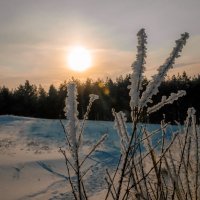 В морозный день :: Фарит 