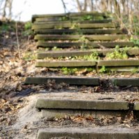 Старая лестница в парке :: Roman Globa