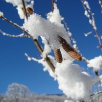 Зима :: Serega Денисенко