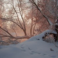 Воспоминания о прошлогодней зиме :: Олег Самотохин