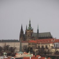 Прага :: Алена 