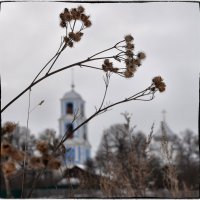 И звон смиряющий всем в душу просится, окрест сзывающий в полях разносится :: Ирина Данилова