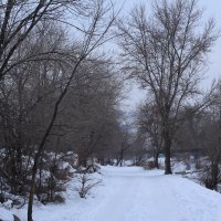 Зима :: Евгения Беркина