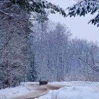 Лесная дорога зимой :: Кот Шредингера