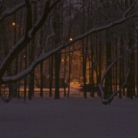 Теплый зимний вечер :: Miha Шохин