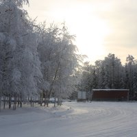 Зимний день :: Светлана Бордачёва