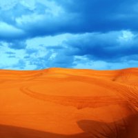 Пустыня в Дубае :: Евгений Бубнов