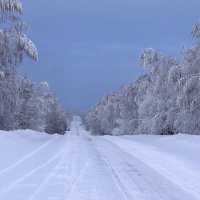 зимняя дорога... :: валерий телепов