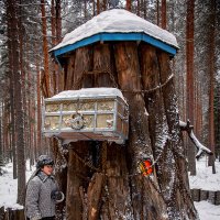 Типо дуб :: Сергей Тараторин