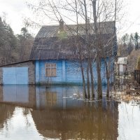 Наводнение в деревне :: Sergey 