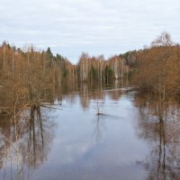 Наводнение :: Sergey 
