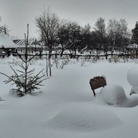 Зима на даче :: Владимир Фещенко