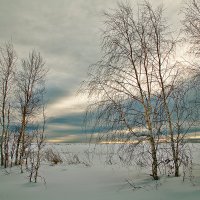 январское.. :: зоя полянская 