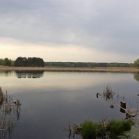 На озере. :: Владимир Бекетов