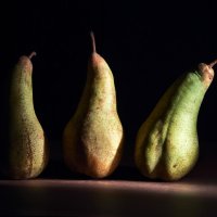 pears :: Юлия Савина