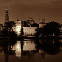 Новодевичий монастырь :: Алла Сердюк