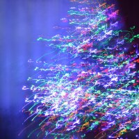Christmas tree with Christmas lights :: Ramina Mamedova