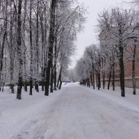 зима в городе :: АНТОНИНА 