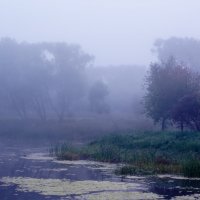 Мокренько :: ВАСИЛИСА АЛЕКСЕЕВНА