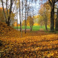 Осенний парк. :: Николай 