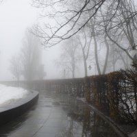 Туманный Киев :: Дарина 