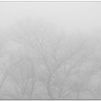 Здесь живет ежик в тумане :: Александр Нестеров