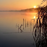 Рассвет на озере.Киев.Троещина :: Андрей Зелёный