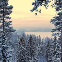 Зима в Суоми. :: Elena Klimova
