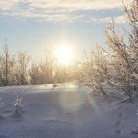 Мороз и солнце :: Ирина Блажи