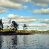 Солнечный берег :: ПетровичЪ,Владимир Гультяев