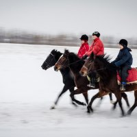 Вот мчится тройка :: Vladimir Mansurov