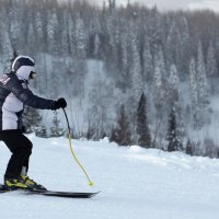 Лыжник :: Радмир Арсеньев