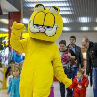 Желтый кот. :: Сергей Калиганов