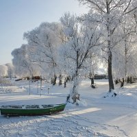 Зимний берег :: Наталья Цветкова