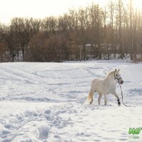 Покатушки в Крутушке ;) :: Valeriy Nepluev