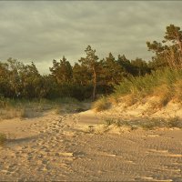 Брег песчаный и пустой... :: Виктор (victor-afinsky)