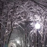 Зима :: Александр Павленко