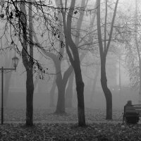 Туман в парке! :: Владимир Шошин