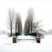 Снегопад. :: Евгений К