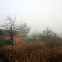 утренний туман :: алексей новиков