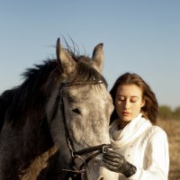 общение с лошадью :: Анатолий Еванков