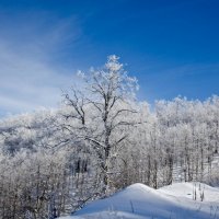 зима Южная Осетия :: Vadim 