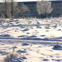 Воскресная прогулка по зиме. Морозно. :: Владимир Буравкин